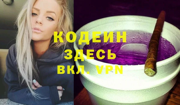 индика Снежногорск