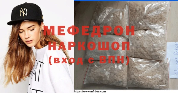 индика Снежногорск
