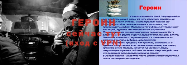 индика Снежногорск