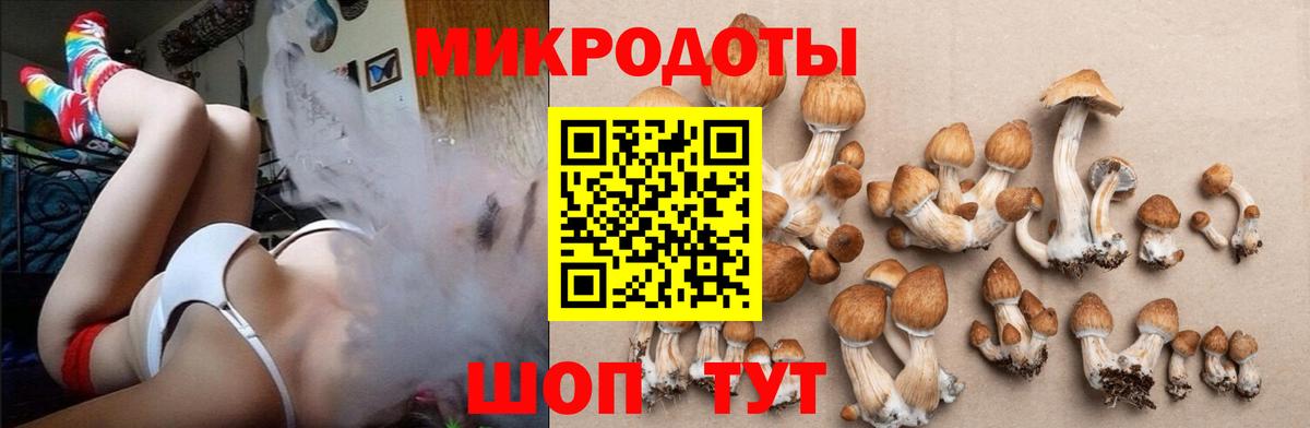 Галлюциногенные грибы мухоморы Печора